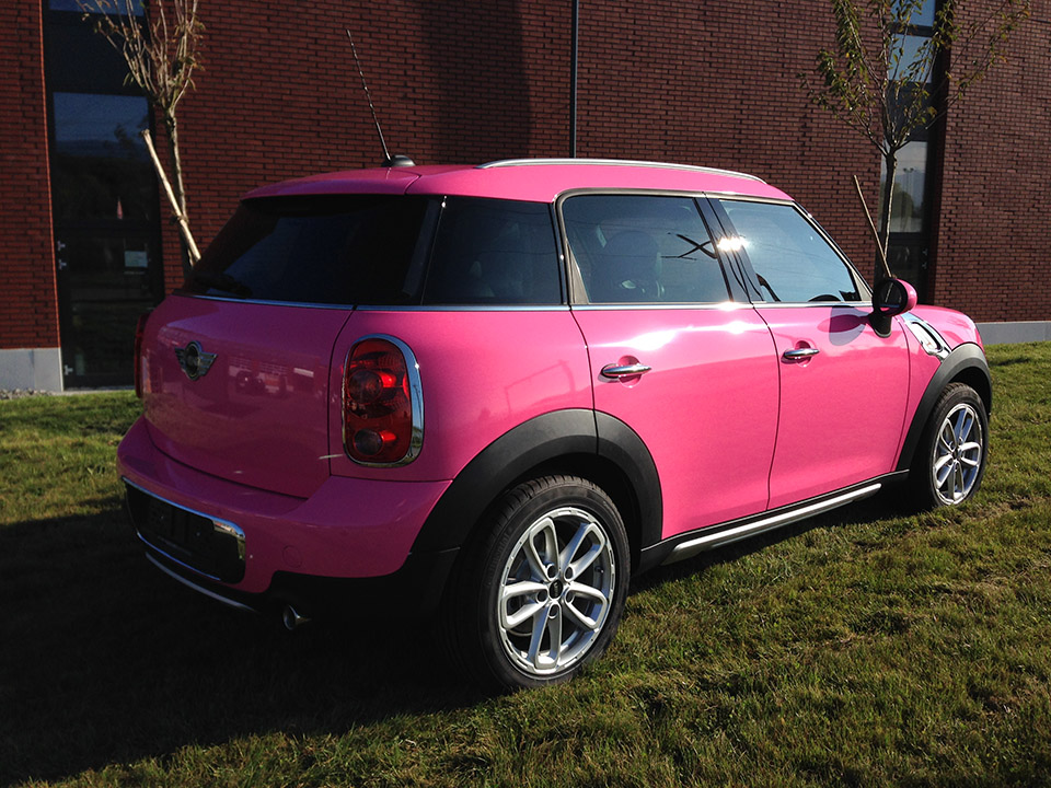 Mini Contryman rose – PubAdhesive